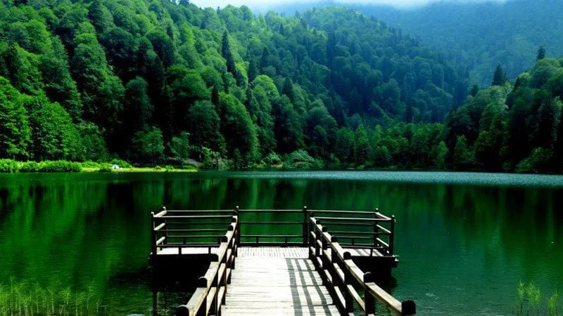Artvin Karagöl: Doğanın Saklı Cenneti 🌿✨