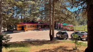 Başkonsu Yaylası – Kahramanmaraş’ın Saklı Cenneti