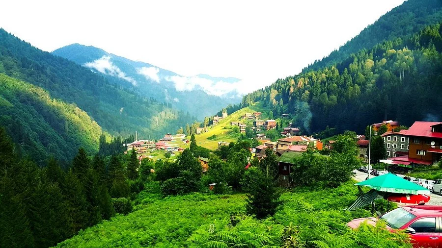 Ayder Yaylası (Rize): Doğanın Kalbinde Huzurlu Bir Kaçış