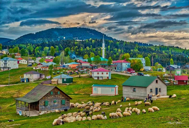 Hıdırnebi Yaylası – Trabzon | Doğayla İç İçe Serin Bir Kaçış Noktası